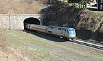 Amtrak 81