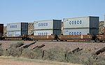 Cosco containers