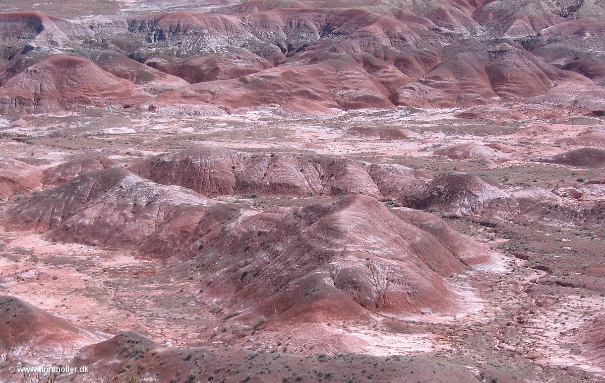 Badlands in Petrified Forrest