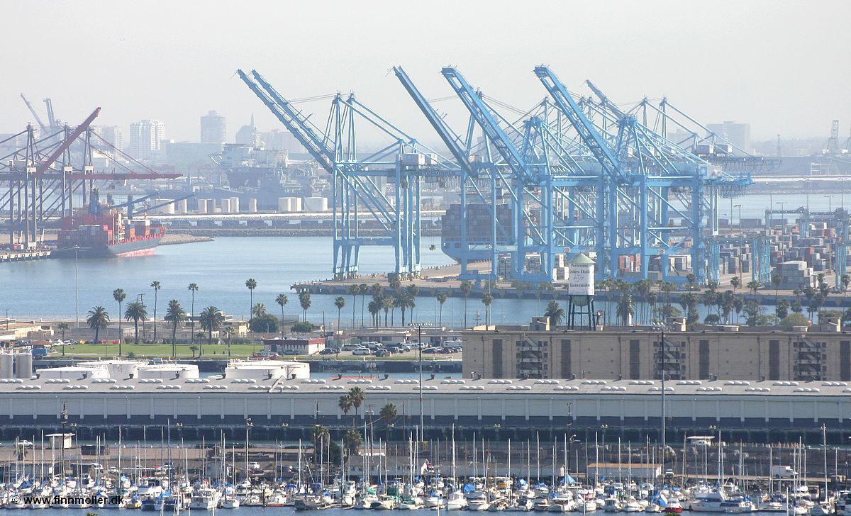 Port of Los Angeles, the APM terminal