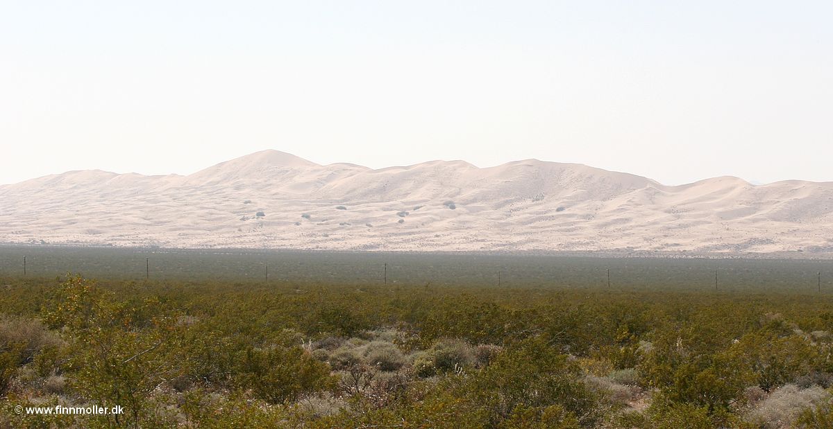 Mojave National Preserve - Kelso Dunes